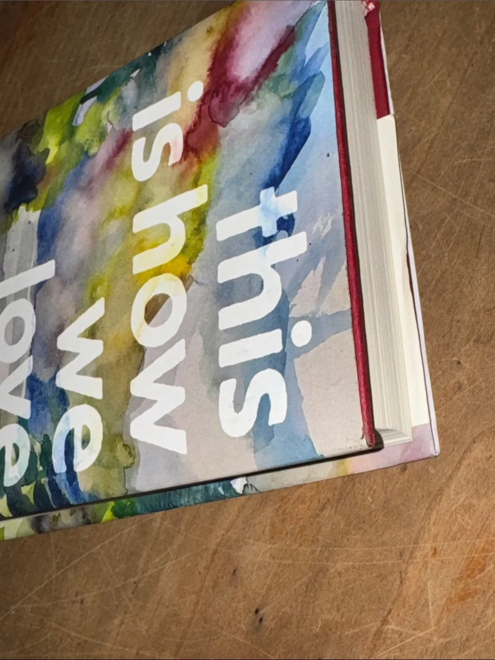 This Is How We Love - Lisa Moore hardcover Book - Picture 13 of 13